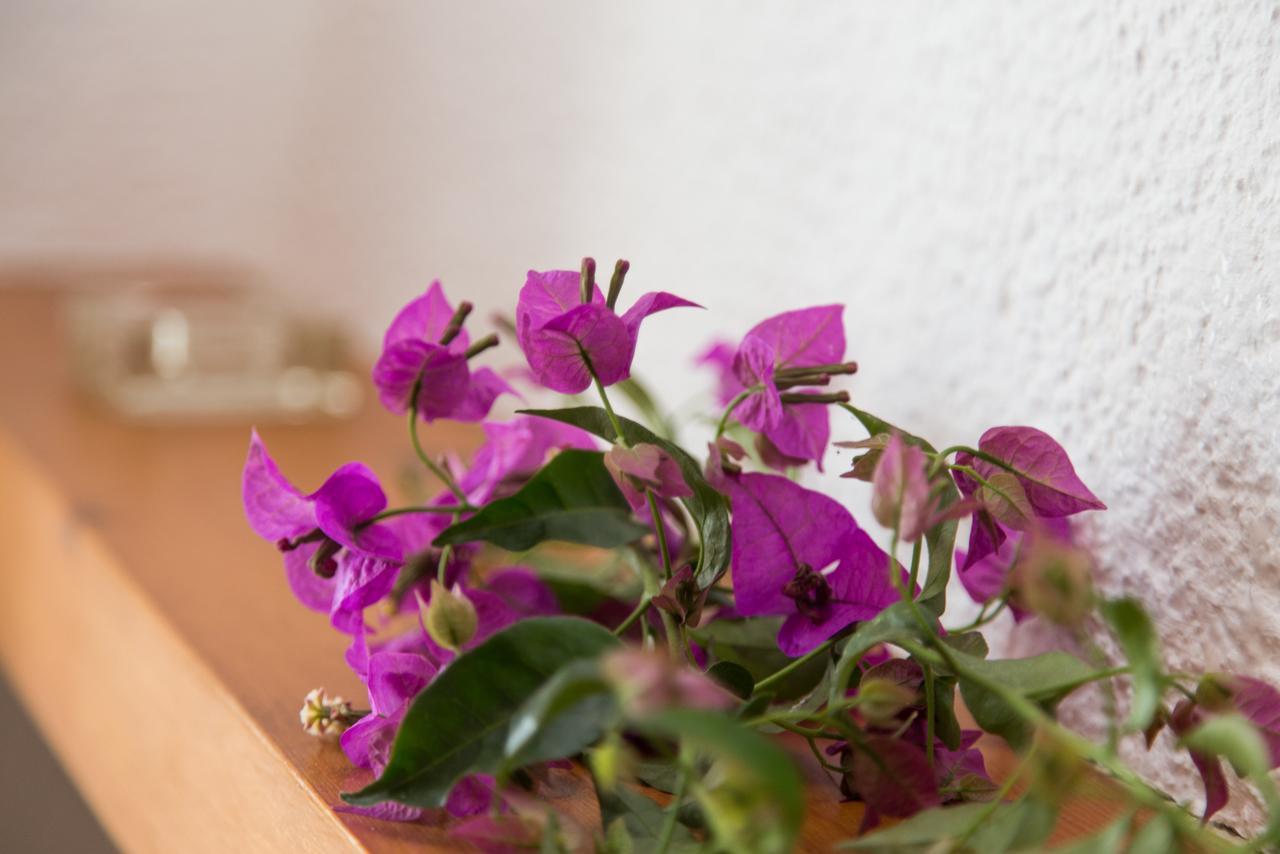 Moraira Holiday Villa ภายนอก รูปภาพ